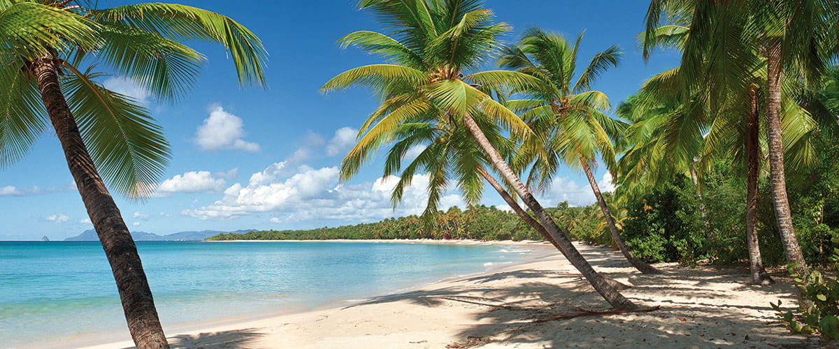 The tropical beaches of Martinique